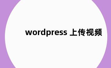 wordpress 上传视频